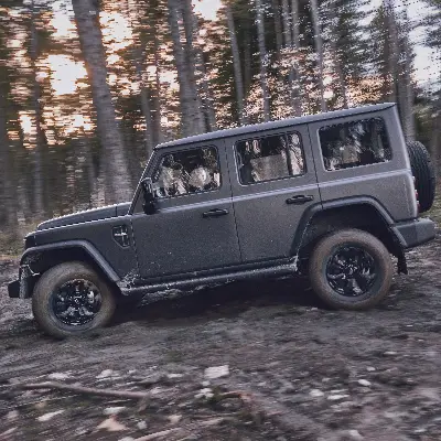 immagine approfondimento Forza Pura, Struttura solida, anima da battaglia.