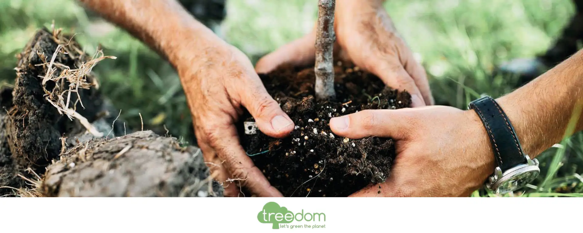 progetto green Theorema