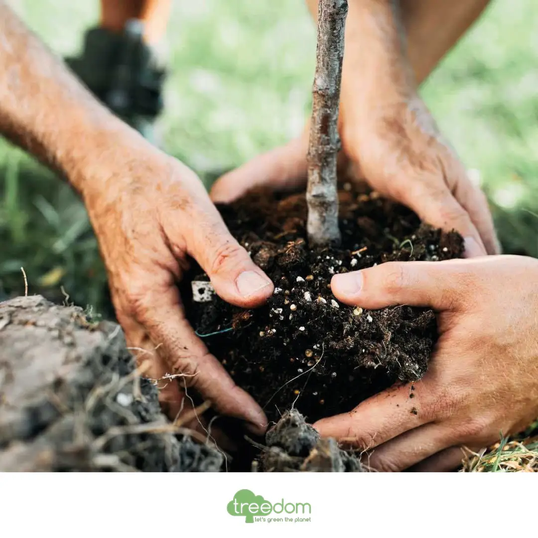 progetto green Theorema