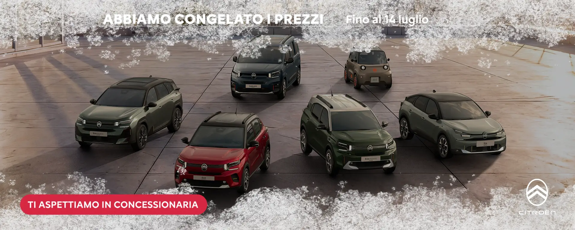 Immagine Promozione  